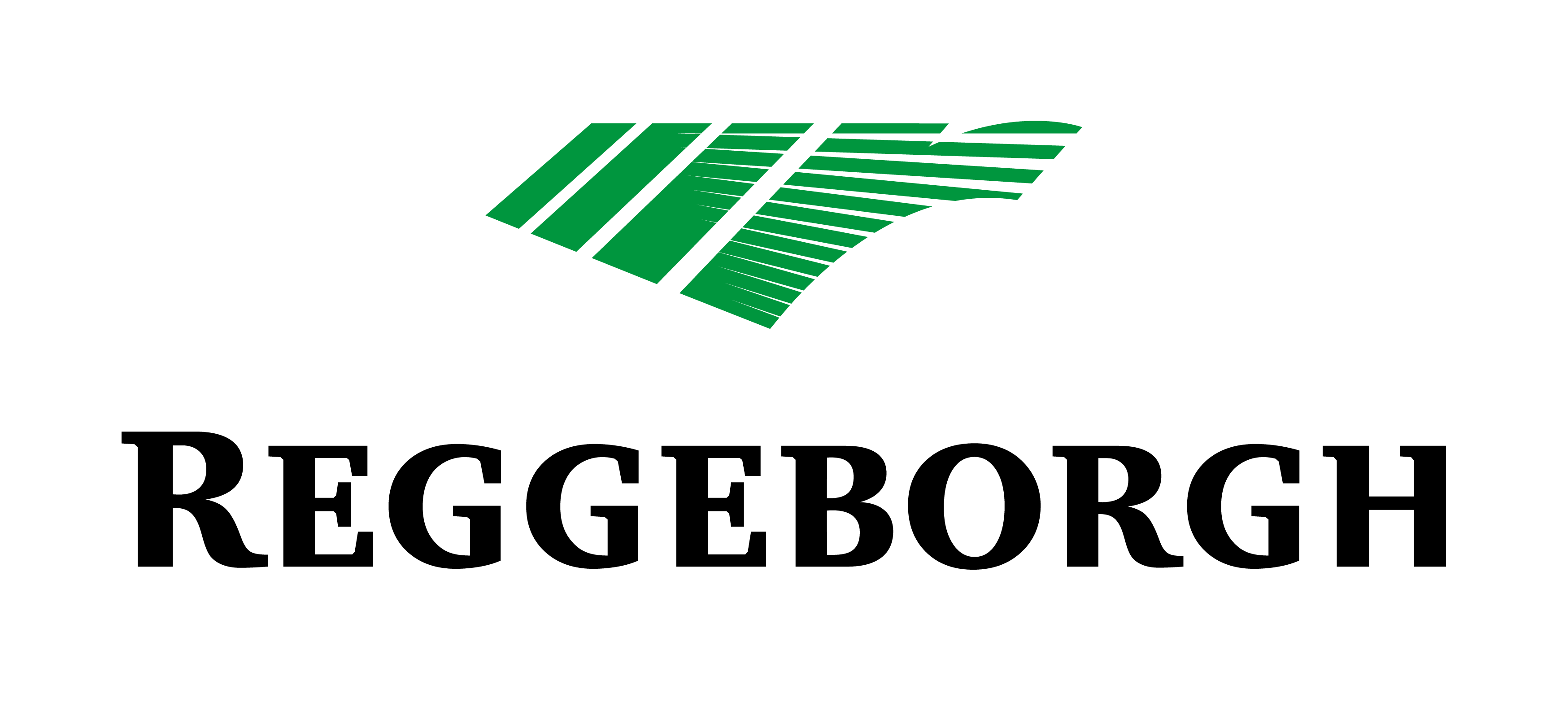Reggeborgh Foundation logo