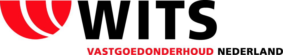 logo Wits