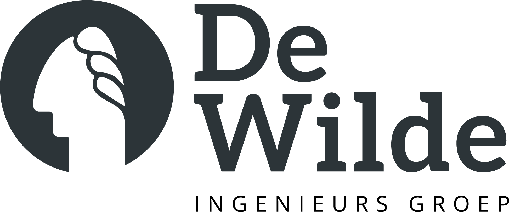 De Wilde ingeieurs groep logo