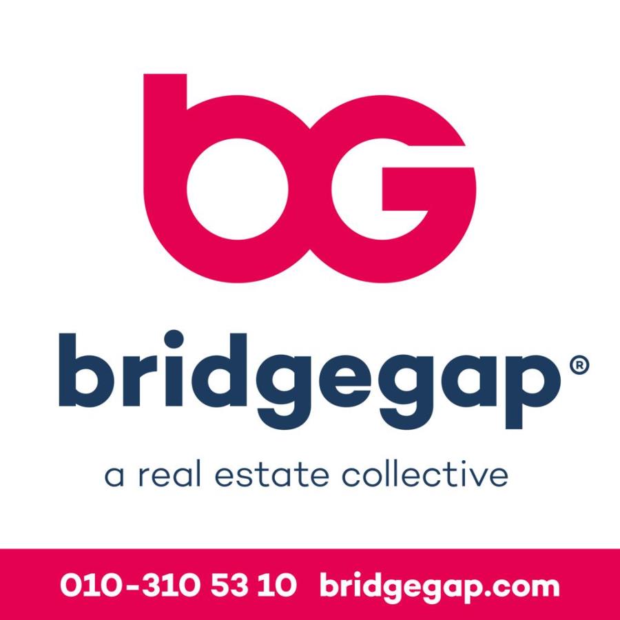 Bridgegap logo