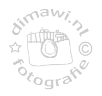 Dimawi.nl logo