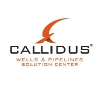 Callidus Group B.V. logo