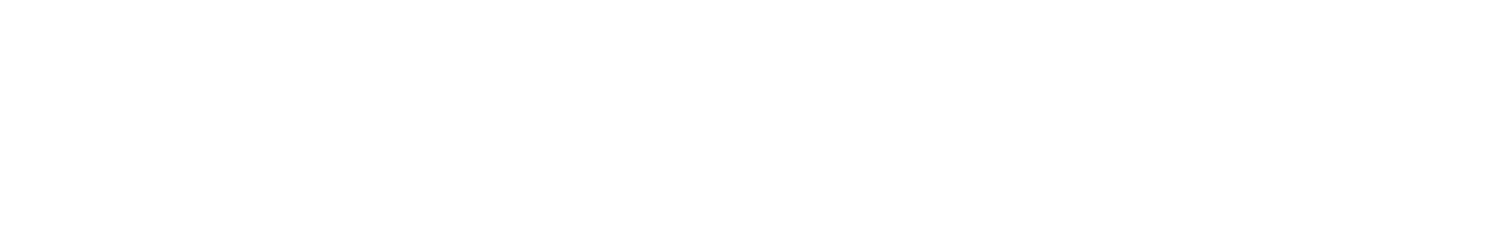 Dunlop logo