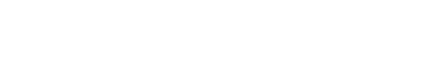 Intersport Oosterhout logo
