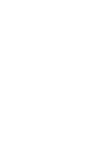 Robey Sportswear logo